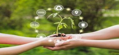 Fungsi dlhbengkulu.id dalam Membantu Pelestarian Lingkungan di Bengkulu