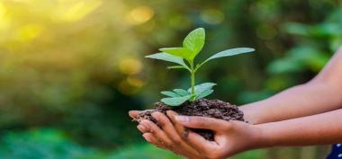 dinaslingkunganhidup.id: Media Edukasi Lingkungan Digital untuk Masyarakat Indonesia