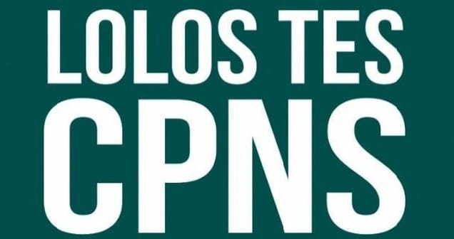 Formasi CPNS 2026, Pilih yang Tepat, Karir Melesat!