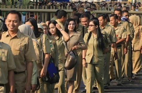 Jangan Asal Jawab! Trik Efisien Memahami Soal Tryout CPNS di Tryout.id dengan Benar