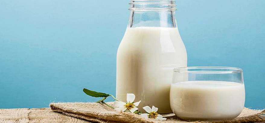 5 Manfaat Susu Hangat Bagi Kesehatan Tubuh, Bisa Jaga Kadar Gula Darah